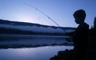 If you Give a Child a Fish, They Won’t Know How to Read